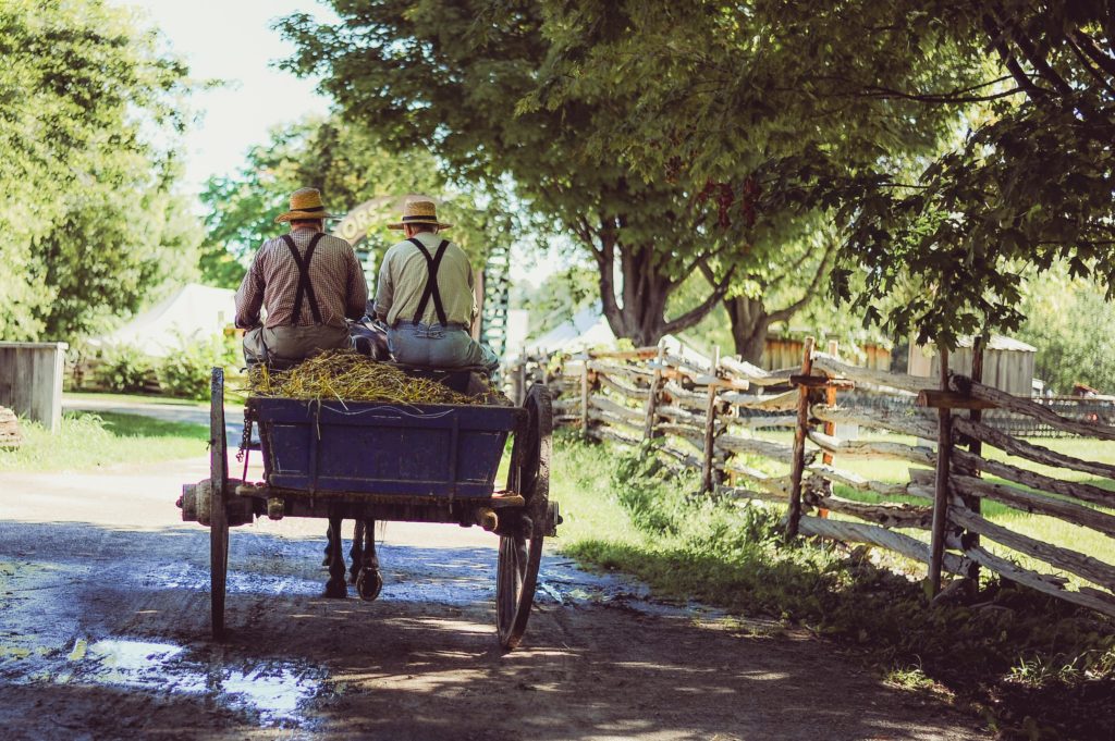 zwei Bauern von hinten, die auf einem Heuwgen sitzen, der von einem Pferd gezogen wird